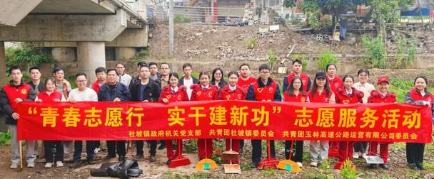 社坡镇组织开展“青春志愿行 实干建新功”志愿服务活动