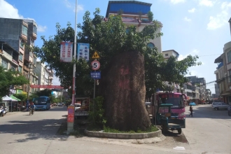 社坡顺丰快递