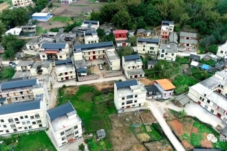 社坡镇福和村变化真大，1270 栋房子